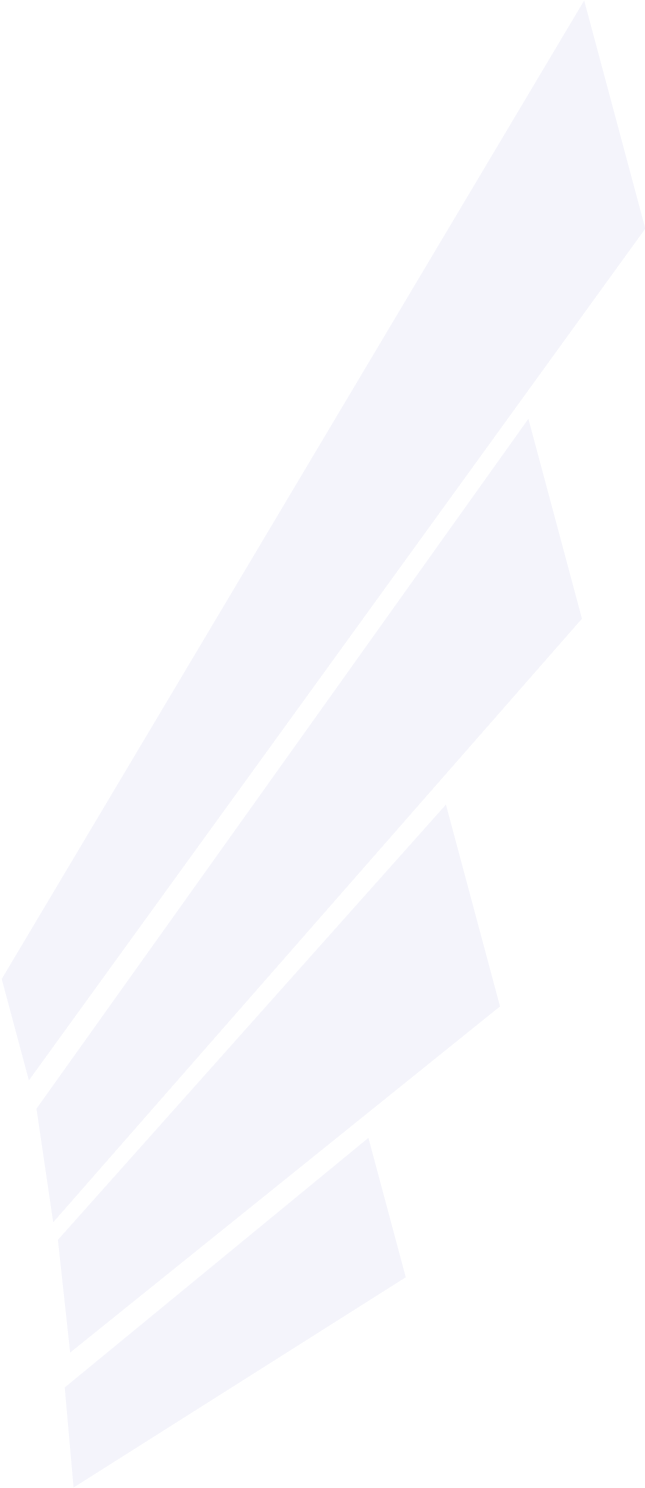 Right wing decoration